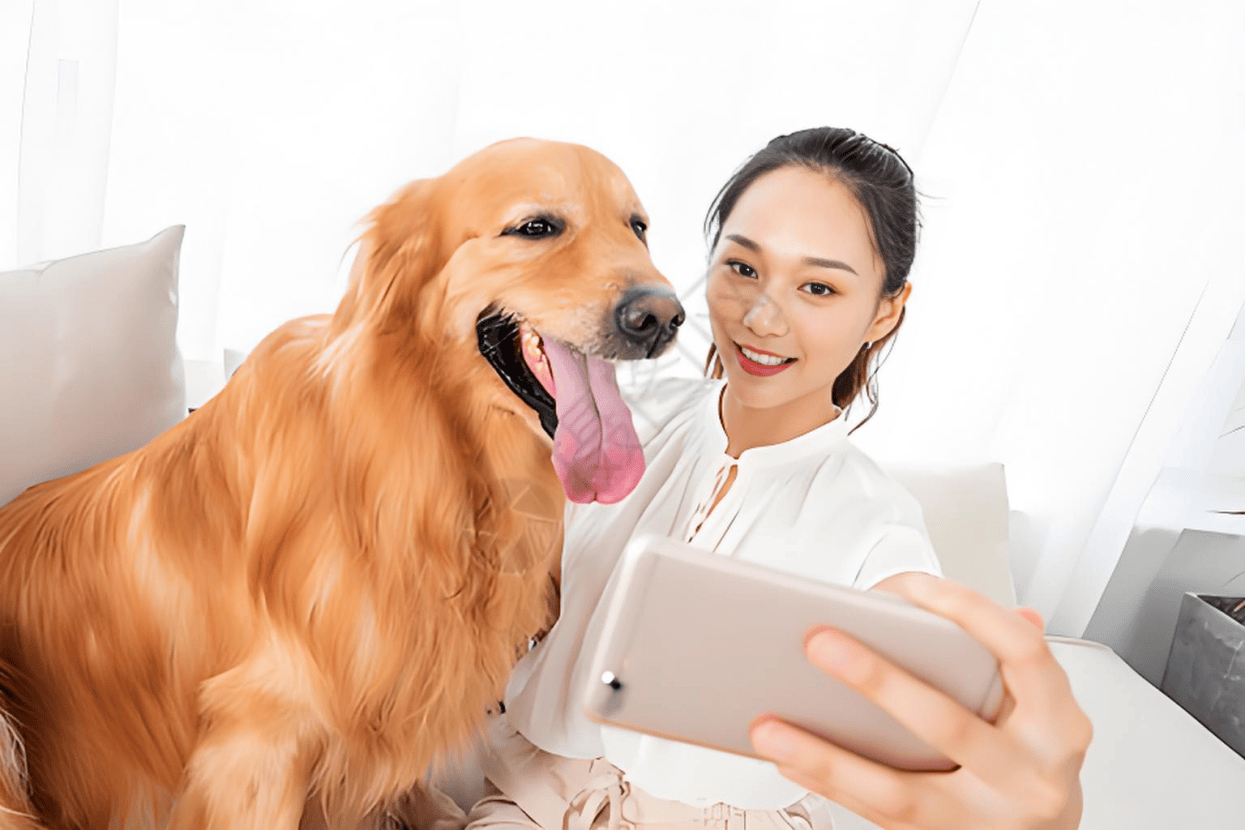 链分析：现状、痛点、需求、趋势mg不朽情缘宠物食品行业产业(图2)