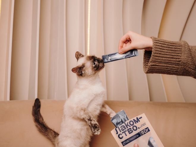 mopet宠物零食以昆虫蛋白开辟全新赛道不朽情缘电子游戏网址中俄联合品牌cos